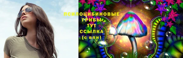 mdpv Зеленокумск