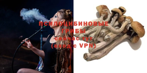 a pvp Алексин